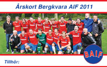 Årskort 2011