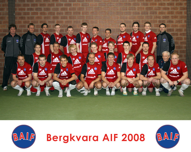 Bergkvara AIF 2008, 254 kB