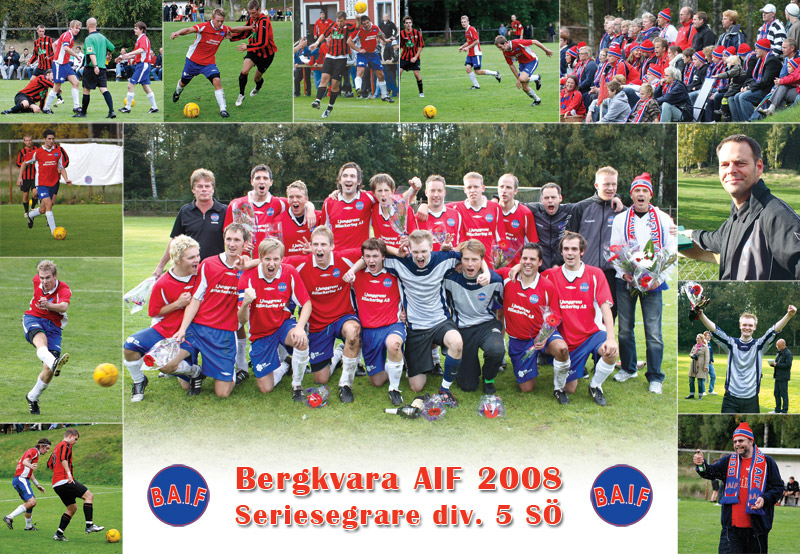 Lagfoto Bergkvara AIF 2008, seriesegrarna