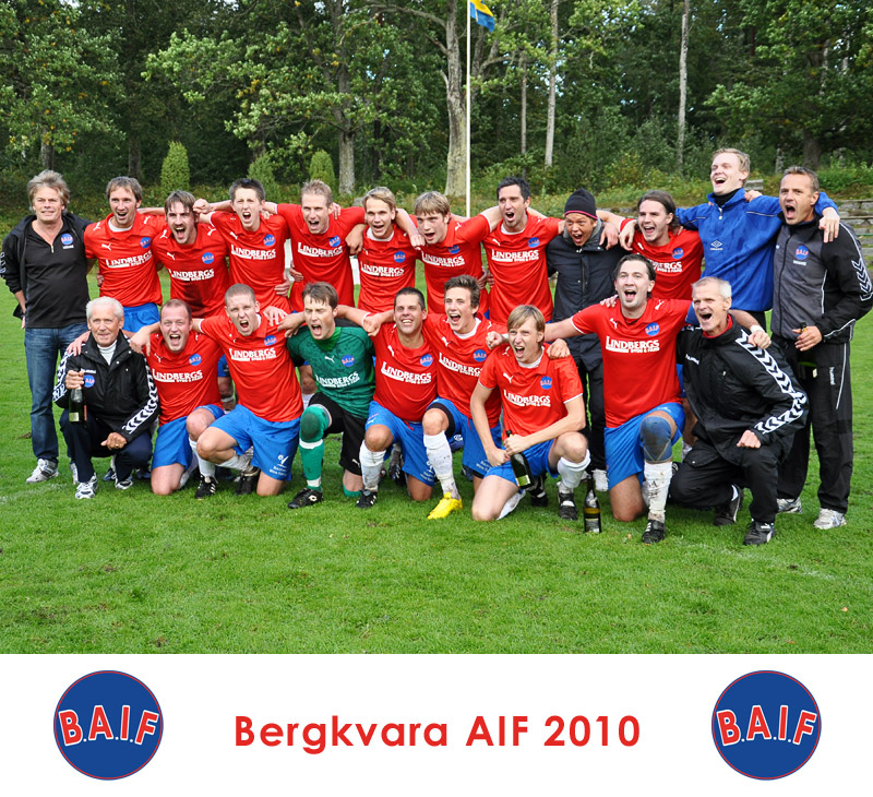 Lagfoto Bergkvara AIF 2010, seriesegrarna