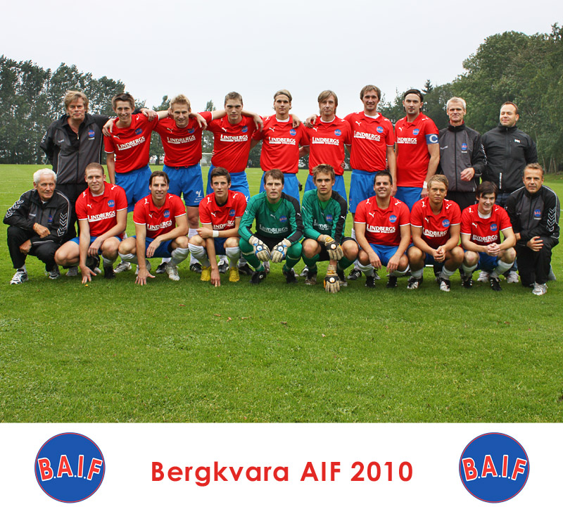 Lagfoto Bergkvara AIF 2010, seriesegrarna