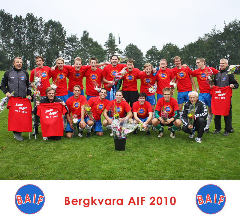 Lagfoto Bergkvara AIF 2010, seriesegrarna