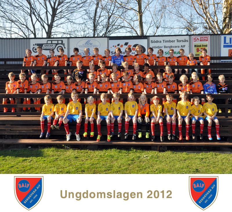 Lagfoto Bergkvara AIF ungdomslagen 2012, foto Johan Blomqvist