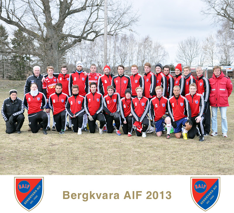 Lagfoto Bergkvara AIF 2013, seniortrupp