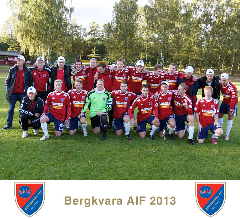 Lagfoto Bergkvara AIF 2013, serieseger