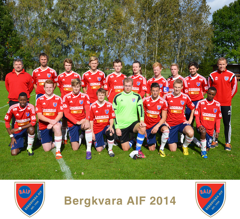 Lagfoto Bergkvara AIF 2014, rets sista a-lagsmatch