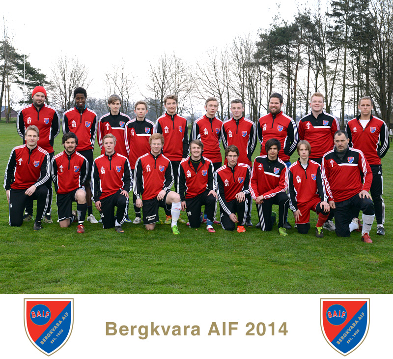 Lagfoto Bergkvara AIF 2014, seniortrupp