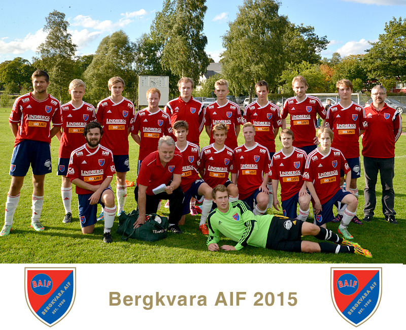 Lagfoto Bergkvara AIF 2015, avancemang till division 5