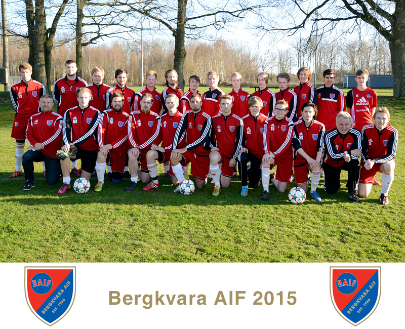 Lagfoto Bergkvara AIF 2015, seniortrupp