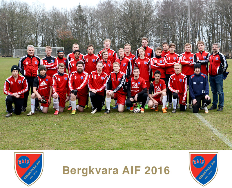 Lagfoto Bergkvara AIF 2016, seniortrupp