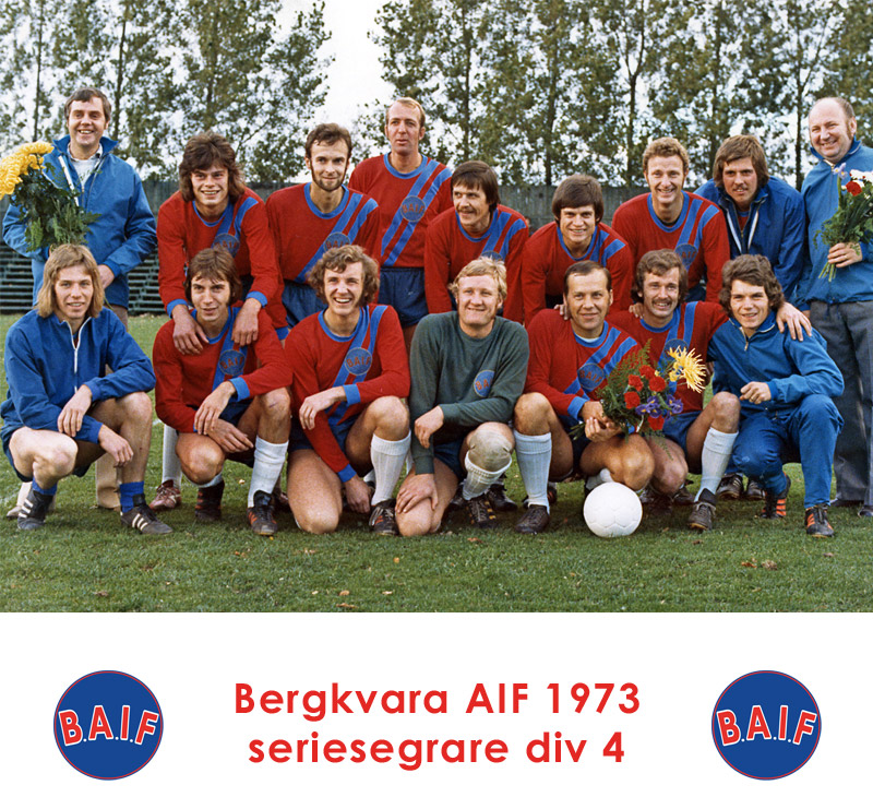 Lagfoto Bergkvara AIF 1973, seriesegrarna