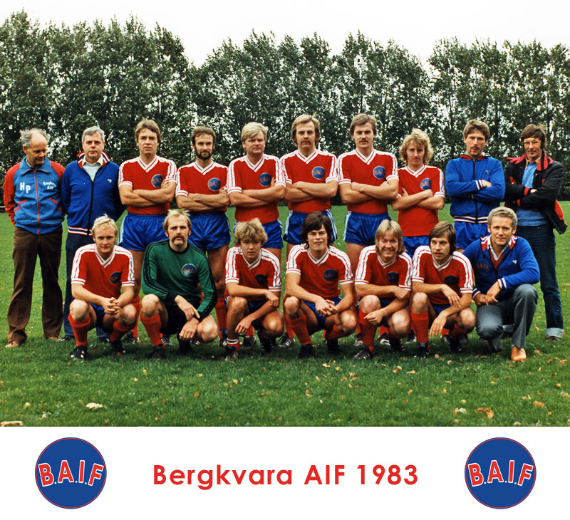 Lagfoto Bergkvara AIF 1983, seniortrupp